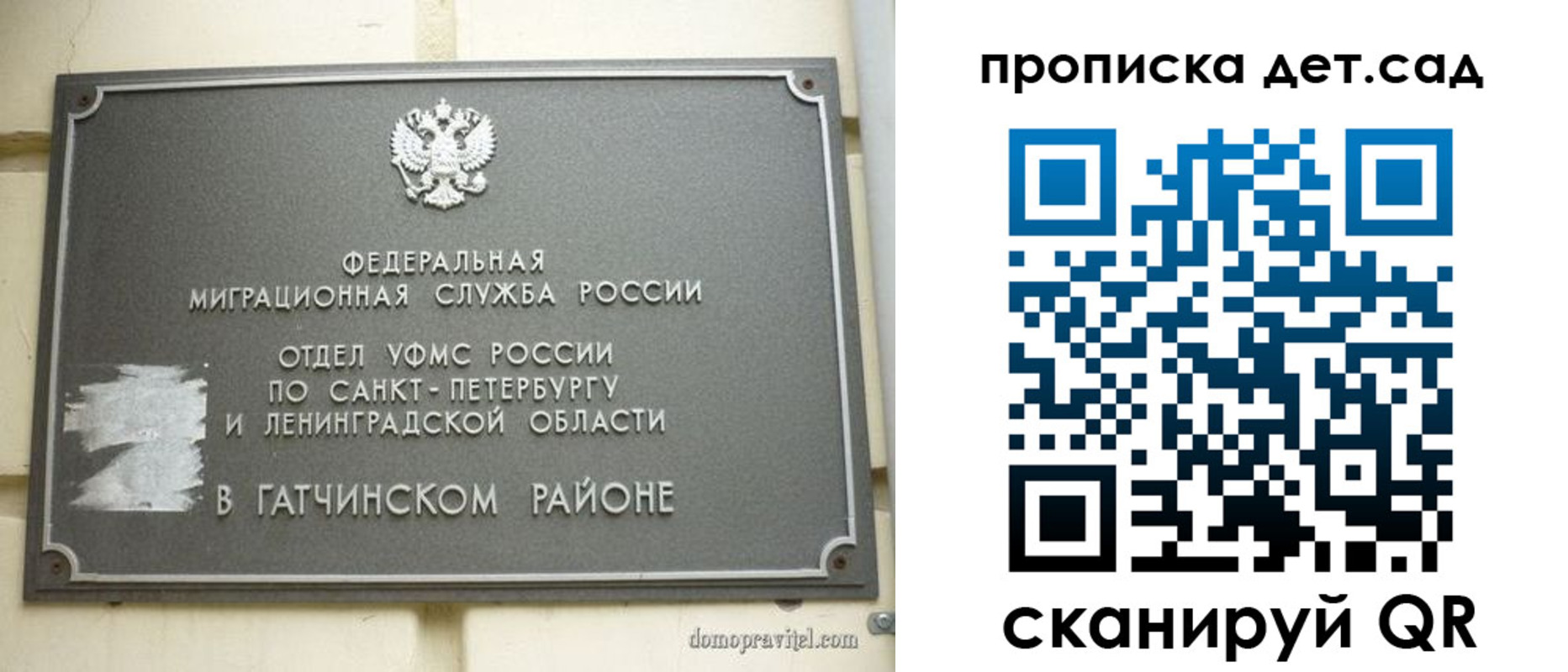 прописка гарантия в Тайге